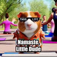 Fitness Yoga GIF by Guinea Gambino