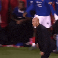 Campo Pelota GIF