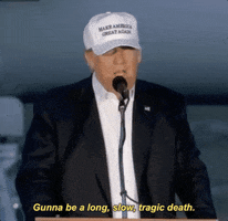 presidential election GIF by Election 2016