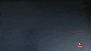 Come On Please GIF by Bundesliga