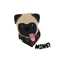 Appaartph Sticker