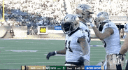 New Orleans Saints Football GIF by NFL