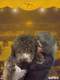 wkcdogshow GIF by Westminster Kennel Club