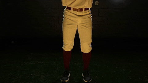 Baseball Juco GIF by Pearl River Athletics