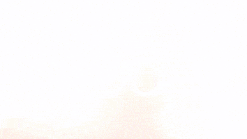 Celebration Goal GIF by FC Red Bull Salzburg