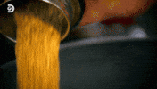 GIF by Discovery Europe