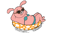 koshabathia relax swimming pig luxury Sticker