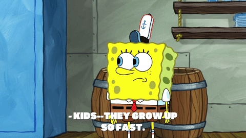 season 9 episode 3 GIF by SpongeBob SquarePants