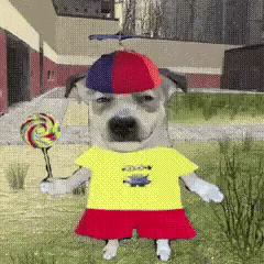 Happy Dog GIF by Respective