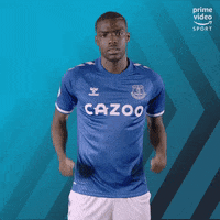 Premier League Football GIF by Prime Video