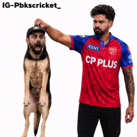 Virat Kohli Shreyas GIF