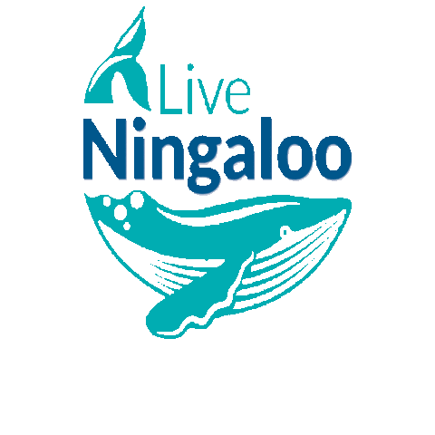 LiveNingaloo giphygifmaker humpback whale exmouth ningaloo Sticker