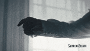 203 GIF by Blue Ice Pictures