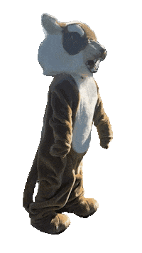 nfaschoolalumni nfa nfaschoolalumni nfaalumni nfafoundation Sticker