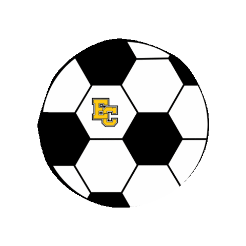 Soccer Mountaineers Sticker by Everest Collegiate High School & Academy