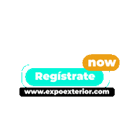 Expo Sticker by Blue Studies