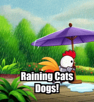 Weather Backyard GIF by Zorooster