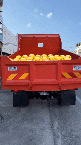 Laughter Laughing GIF