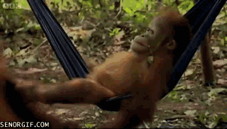 life ponders GIF