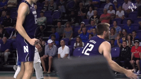 Excited Spencer GIF by Northwestern Athletics