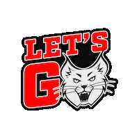 Lets Go Sticker by Perth Lynx