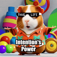 Wisdom Purpose GIF by Guinea Gambino