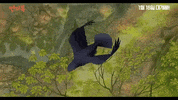 The Underdog GIF