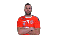 Handball Kézilabda Sticker by csurgóikk