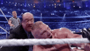 Brock Lesnar Sport GIF by WWE