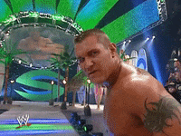 wwe sports wwe wrestling summerslam GIF