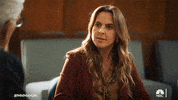 Mr Mayor GIF by NBC
