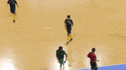 DallasSidekicks soccer brown dallas solar GIF