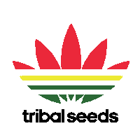 Bob Marley Leaf Sticker by Tribal Seeds