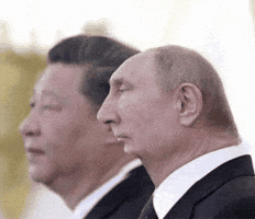 Vladimir Putin Instagram GIF