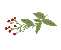 imajanation christmas leaves mistletoe berries Sticker