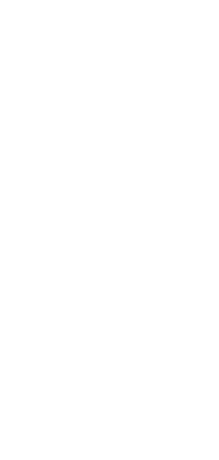 salongemini salongemini Sticker