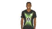 Happy Vfl Wolfsburg Sticker by Bundesliga