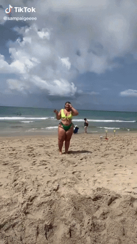 vilecoyote giphyupload GIF