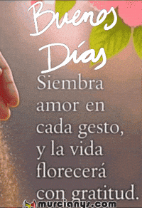 Amigos Buenos Dias GIF by Murcianys LLC
