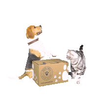 cat dog Sticker by Pets Deli