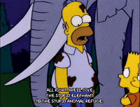 homer simpson GIF