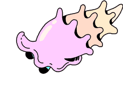 Hermit Crab Shell Sticker by GIPHY CAM