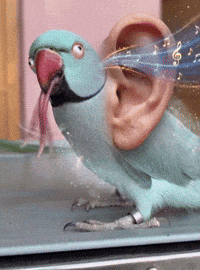 Listening GIF