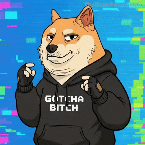 Shiba Inu Shrug GIF by Doge Pound