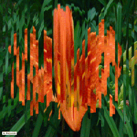 art code GIF
