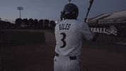 East Carolina Pirate GIF by ECU Athletics