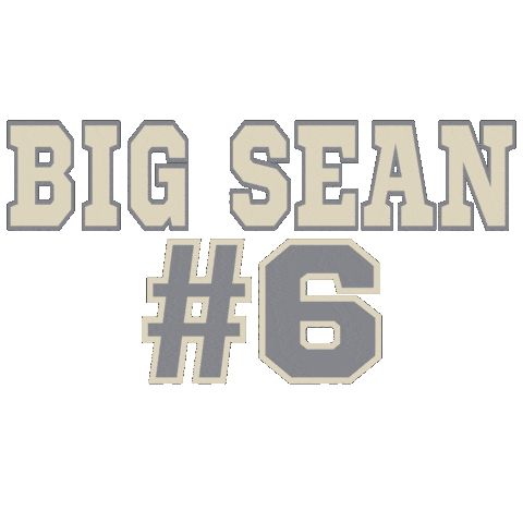 Baseball Team Sticker by LITTLE SHARK AND CO.