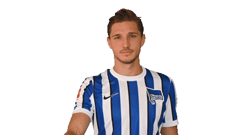 Niklas Stark Facepalm Sticker by Hertha BSC