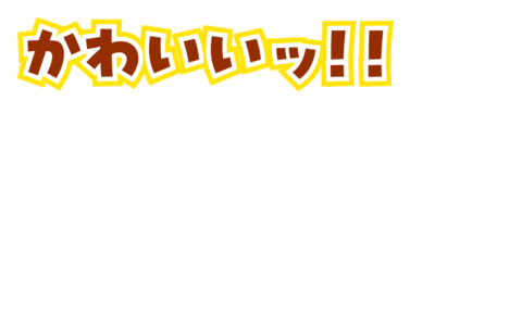 Dingoディンゴ Sticker by DINGO_jp