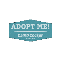 Campcocker2025 Sticker by Camp Cocker Rescue